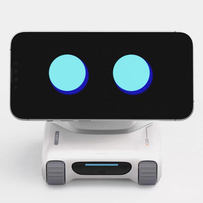 LOOI Robot DeepSeek A Large Model